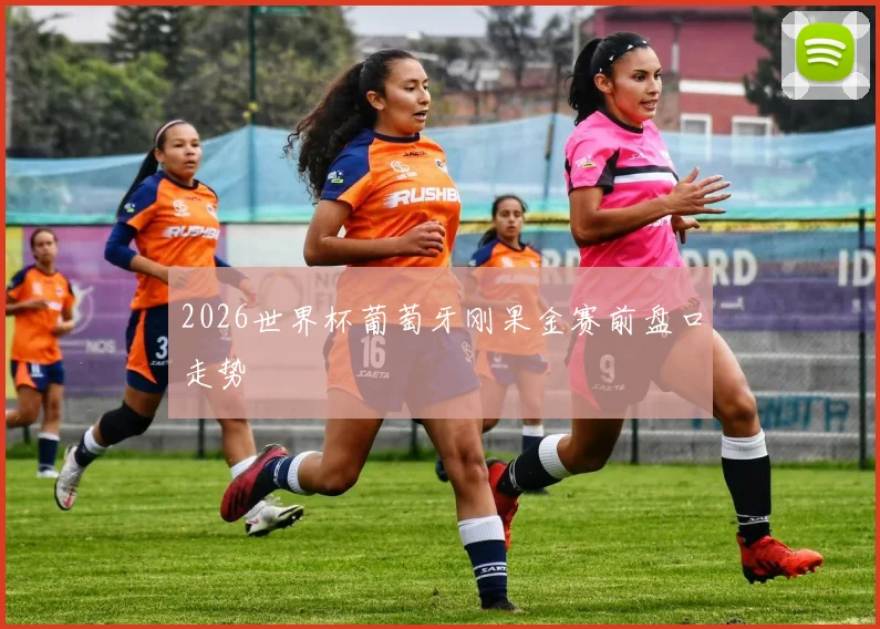 2026世界杯葡萄牙刚果金赛前盘口走势