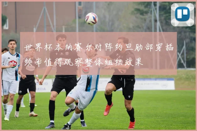 世界杯本纳赛尔对阵约旦肋部穿插频率值得观察整体组织效果