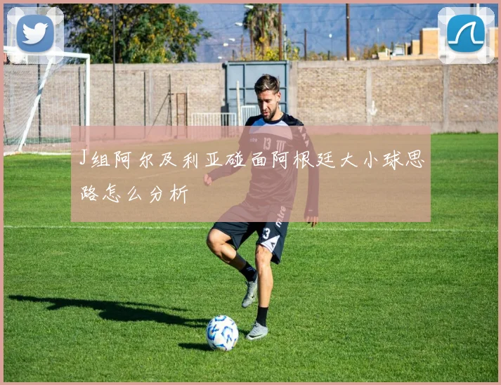 J组阿尔及利亚碰面阿根廷大小球思路怎么分析