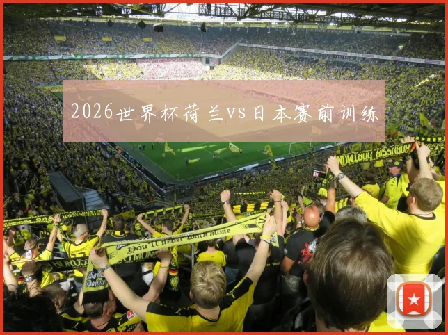 2026世界杯荷兰vs日本赛前训练