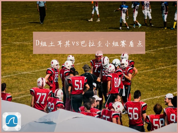 D组土耳其vs巴拉圭小组赛看点